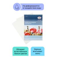 Альбом для акварели, 24л., А4, на спирали Гамма "Студия", 200г/м2, среднее зерно, перфорация на отры_2