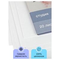 Папка для акварели, 20л., А4 Гамма "Студия", 200г/м2, среднее зерно_2
